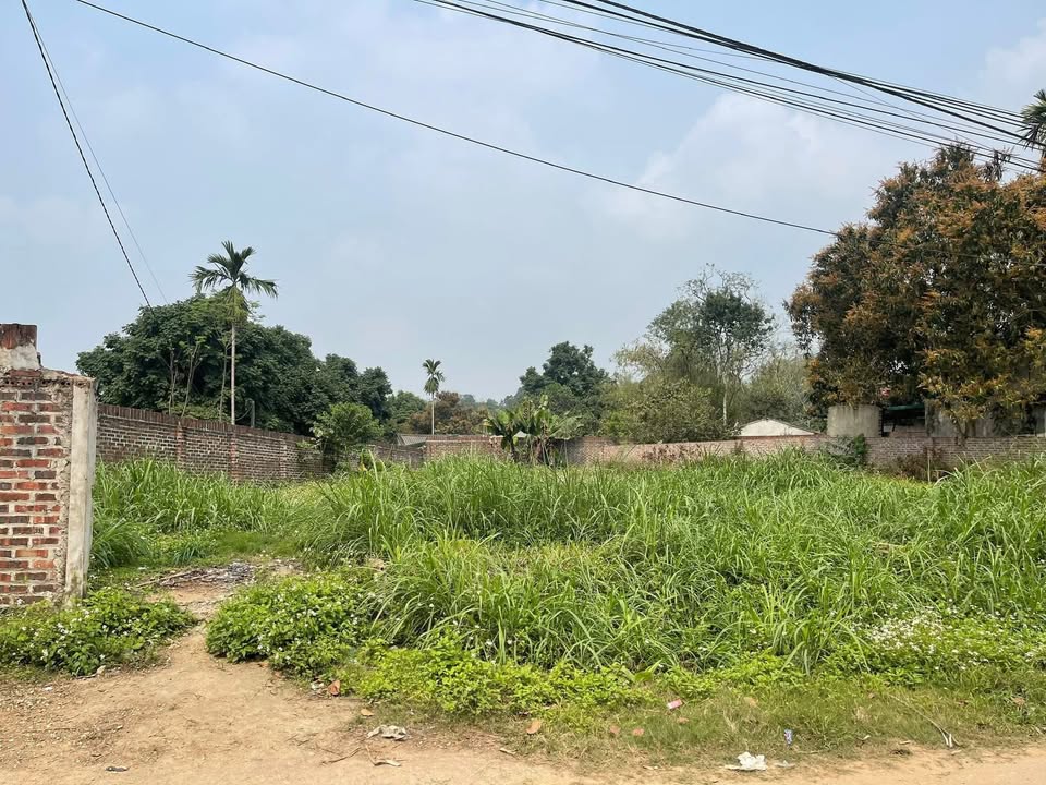 Đất nền chính chủ 106,9m² tại khu An Ninh 2, xã Hoàng Cương - Giá thỏa thuận, vị trí thuận lợi!