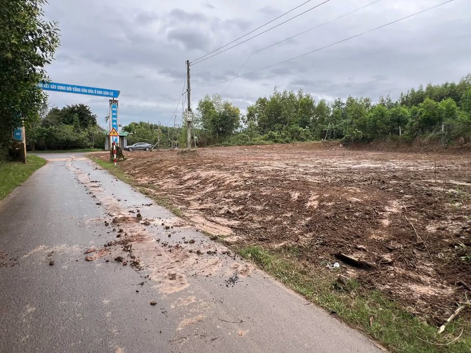 Đất phân lô Diên Xuân - Diên Khánh 1296m² giá 3.6 tỷ - Đường nhựa 24m, pháp lý rõ ràng!