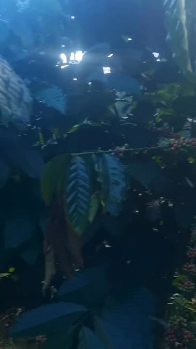 Đất nền đẹp tại Nam Ban Lâm Hà 2880m² giá 1.3 tỷ - Cơ hội đầu tư hấp dẫn!