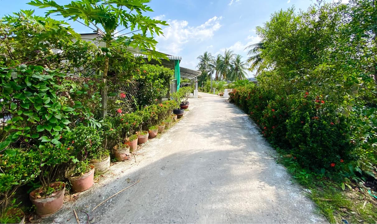 Đất nền đẹp Trường Lạc Ô Môn 81m² giá chỉ 540 triệu - Đầu tư sinh lời ngay!