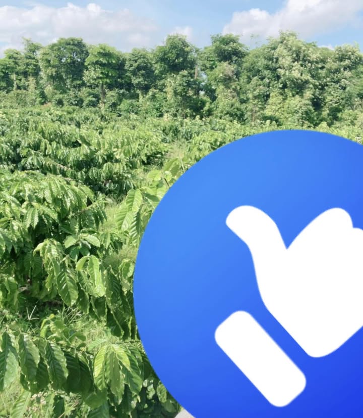 Đất nông nghiệp phường Khánh Xuân 840m² giá 500 triệu - Sổ đỏ chính chủ