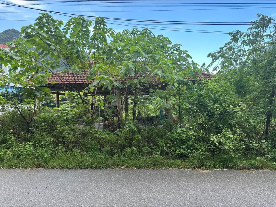 Đất nền thôn Hải Nam, Ninh Bình 998m² - Vị trí đẹp phù hợp nghỉ dưỡng!