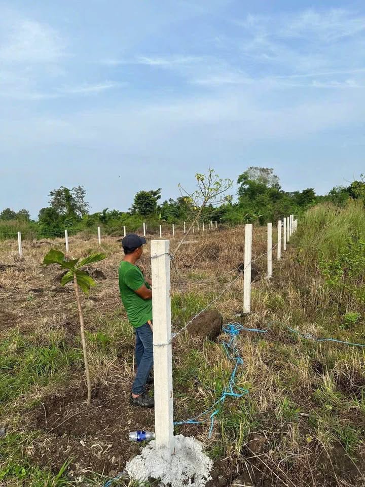 Đất nền Phú Vinh, Định Quán 1302m² giá 850 triệu - Mặt tiền đường Petong, bớt lộc tốt!