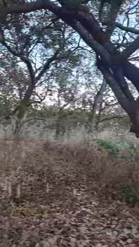 Đất nền Phước Tân 9000m² giá 820 triệu - Cơ hội đầu tư tuyệt vời!