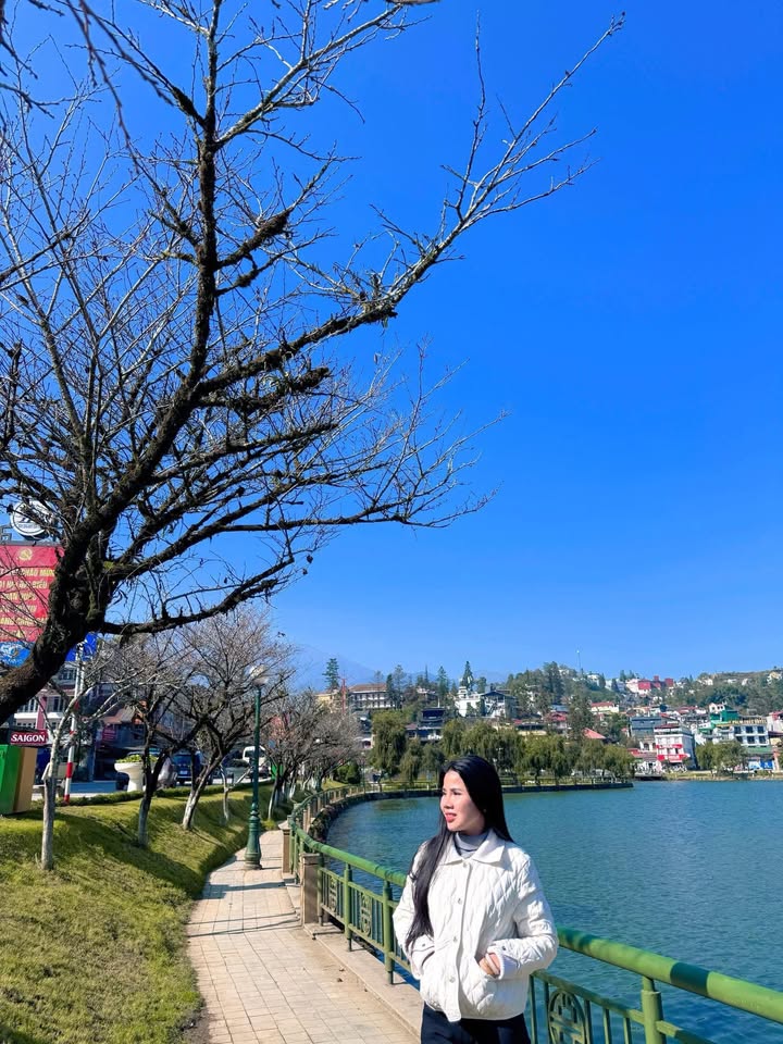 Lô đất mặt tiền 15m 286m² trung tâm Sa Pa giá chỉ 11 tỷ - Cơ hội đầu tư hiếm có!