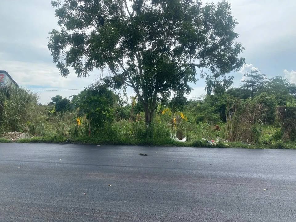 Đất mặt tiền KDC Cửu Long, Bình Thủy 500m² giá 3.5 tỷ - Tiềm năng phát triển mạnh mẽ!