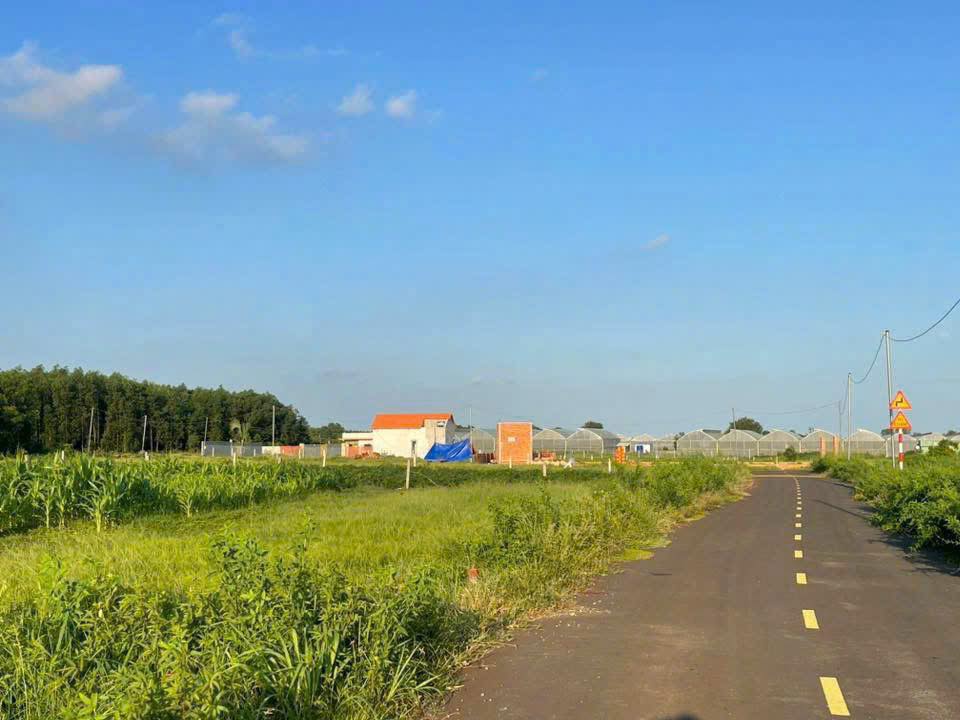 Đất nền mặt tiền đường nhựa, Đất Đỏ 150m² giá chỉ 650 triệu - Cơ hội vàng cho đầu tư!