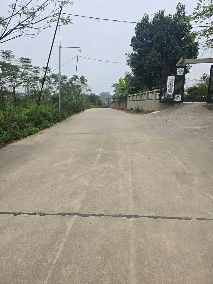 Đất nền khu 6 Thanh Đình 120m² giá thương lượng - Mặt tiền 6m, vị trí đắc địa!