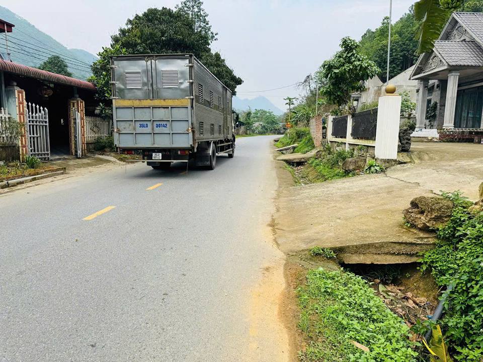 Đất nền xã Thu Cúc, huyện Tân Sơn, Phú Thọ 2000m² giá 1 tỷ - Cơ hội đầu tư hấp dẫn!