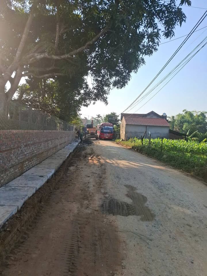 Đất nền khu 1 Hoa Hậu, Lam Sơn, Tam Nông, Phú Thọ 112.5m² - Đầu tư sinh lời cao!