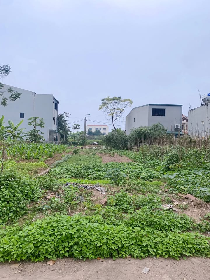 Đất nền Minh Nông 116m² giá 3 tỷ - Sổ đỏ chính chủ, ô tô đỗ tận cửa!