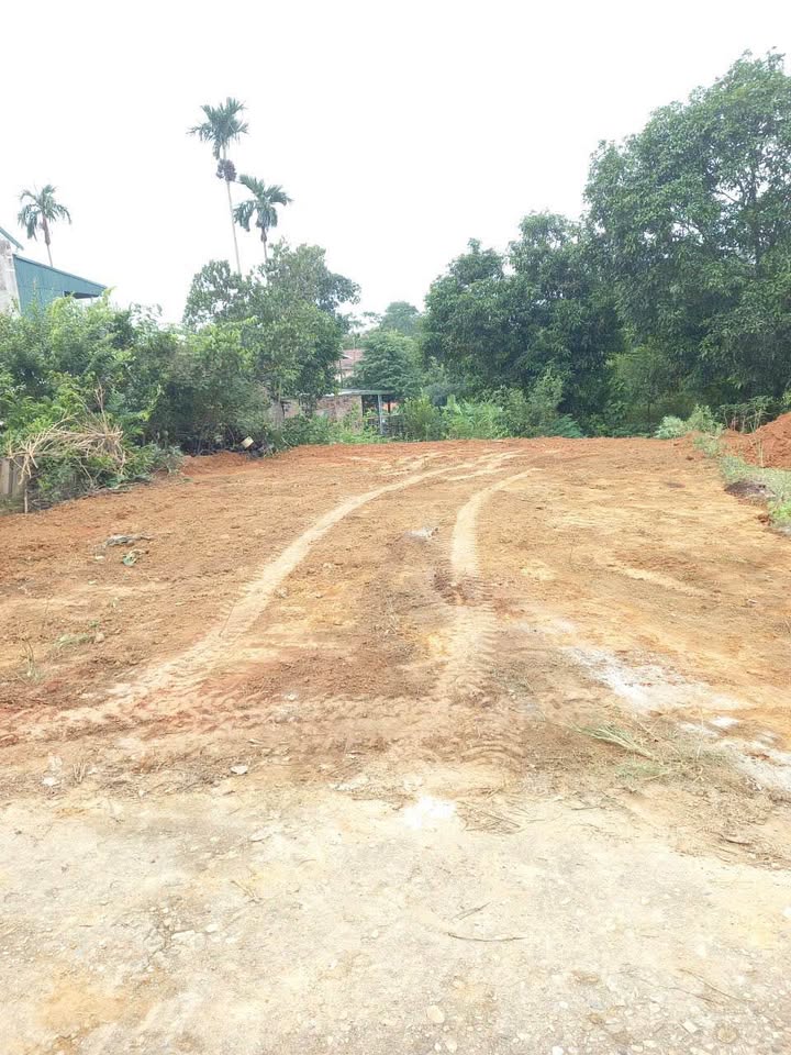 Đất nền Khu 8 - Hy Cương, Việt Trì 101m² giá 1.2 tỷ - Nở hậu, phong thủy đẹp!