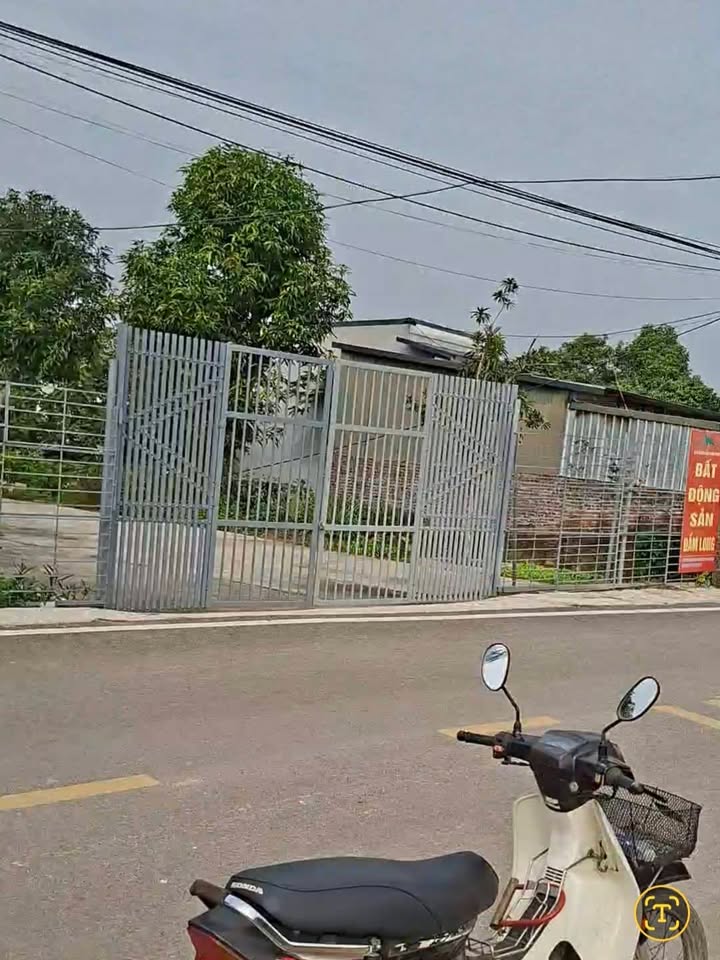 Đất nền mặt đường nhựa Trục Chính Đầm Long, 119m² giá 499 triệu - Cơ hội đầu tư hấp dẫn!