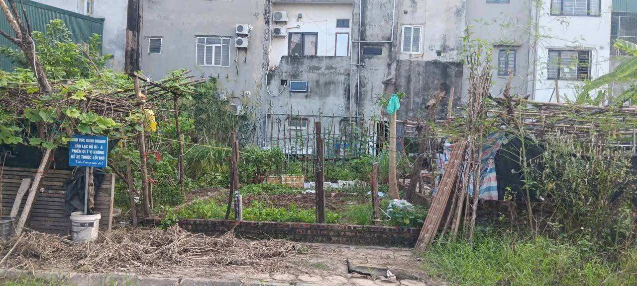 Đất dịch vụ Trạm Trôi, Hoài Đức 76m² giá 1.3 tỷ - Tiềm năng tăng giá mạnh!