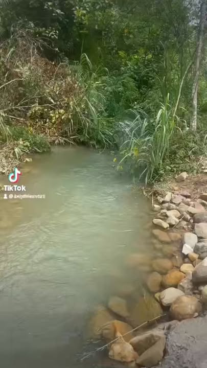 Đất Farm Đạ Ploa Lâm Đồng 10,800m² giá 980 triệu - Cơ hội đầu tư hấp dẫn!