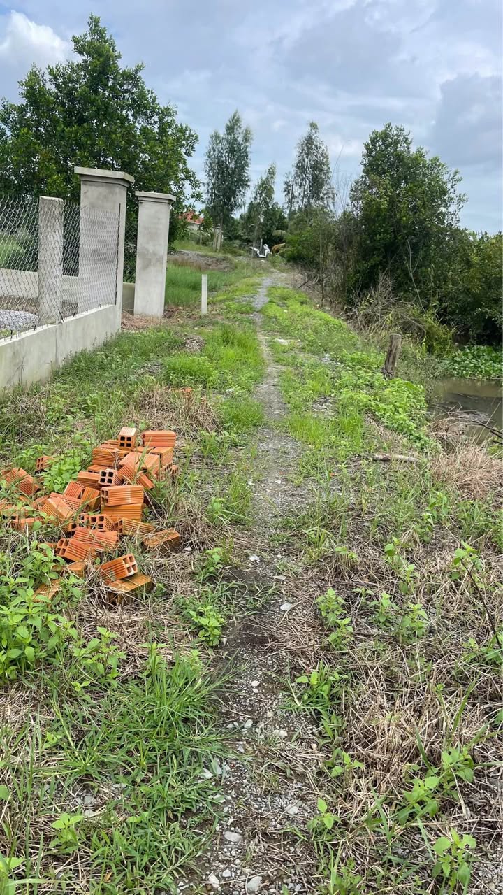 Đất nền Hòa Khánh Tây, Đức Hòa 100m² giá chỉ 250 triệu - Sổ đỏ chính chủ!