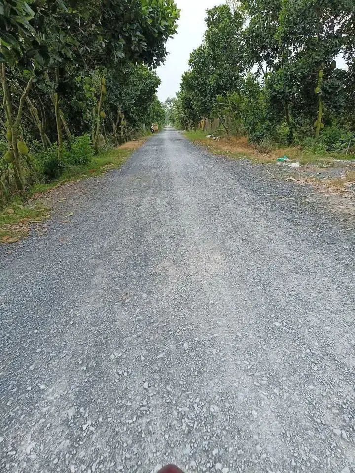 Đất nông nghiệp tại xã Hòa Tân, Châu Thành 17.000m² giá 3.74 tỷ - Cơ hội đầu tư hấp dẫn!