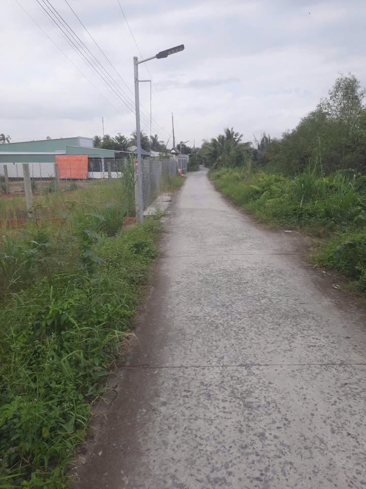 Đất nền phường Phước Hậu, TP Vĩnh Long 1043m² giá 1.25 tỷ - Vị trí đẹp, pháp lý rõ ràng!