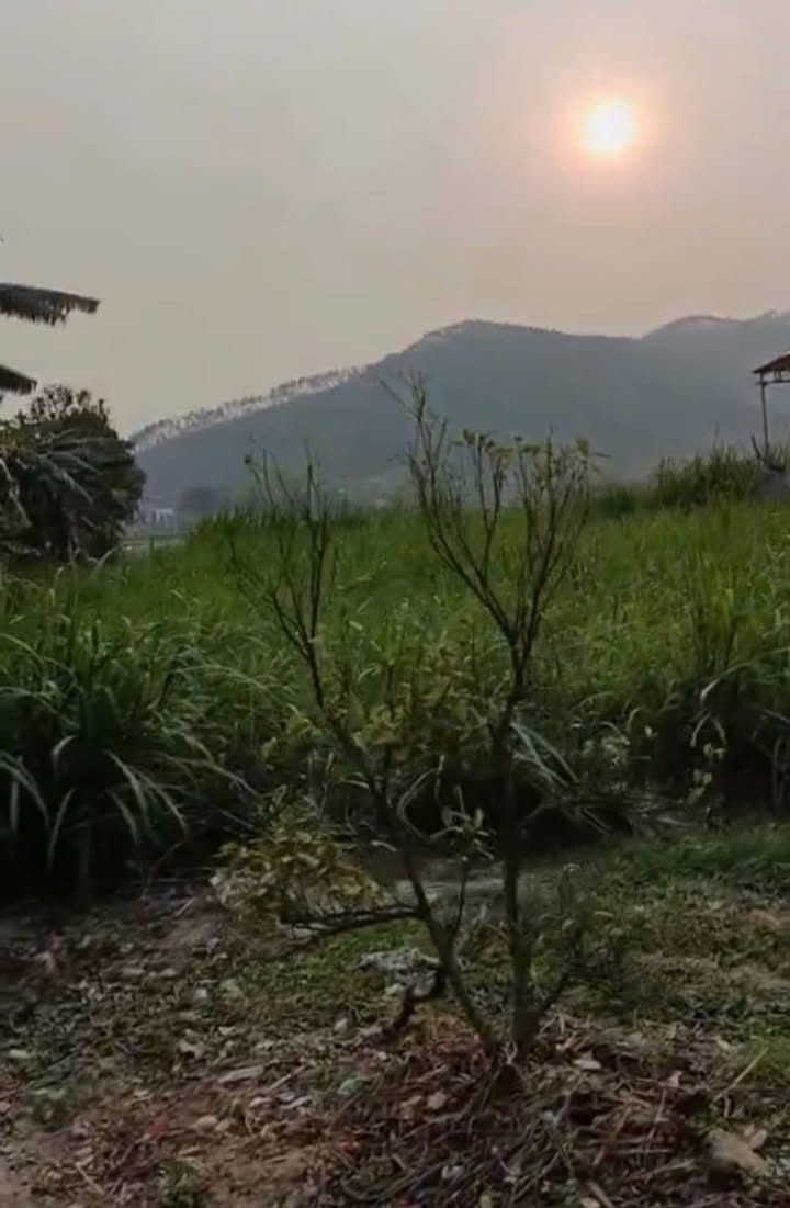 Đất nền Đông Phú Lục Nam 140m² giá 1 tỷ - Vị trí đắc địa mặt tiền rộng 6m!