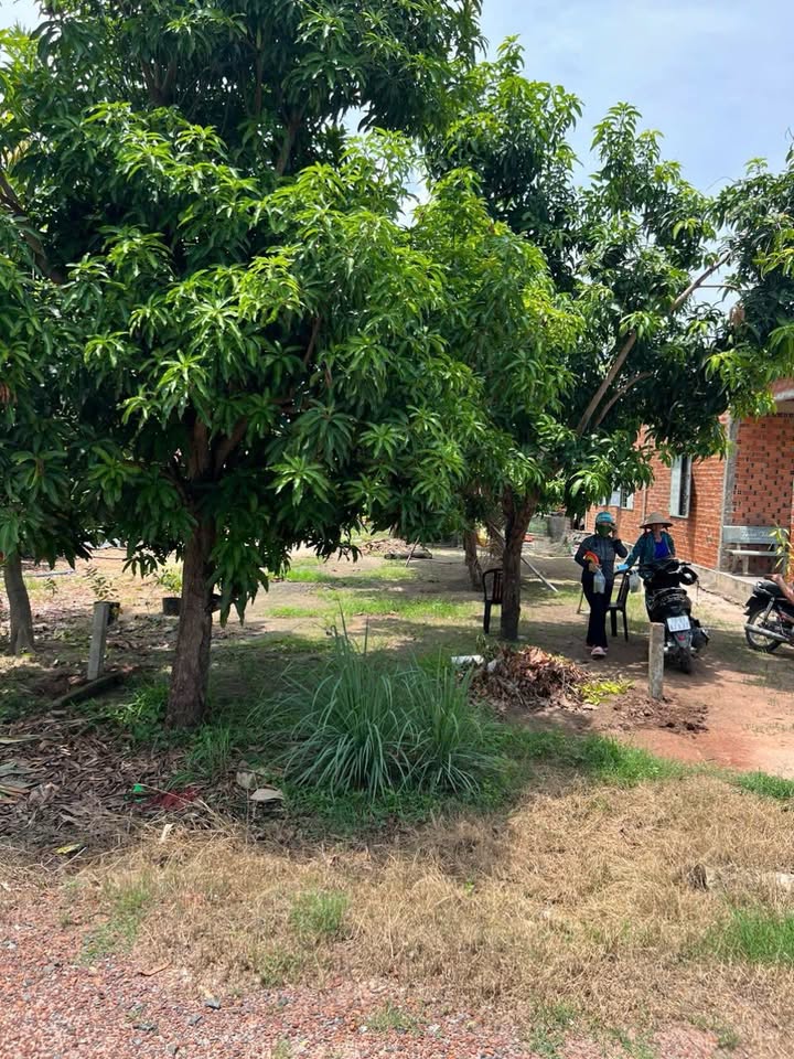 Đất ấp Cầu Trường, xã Hảo Đước, 560m² chỉ 500 triệu - Gần trường học, mặt tiền nhựa!