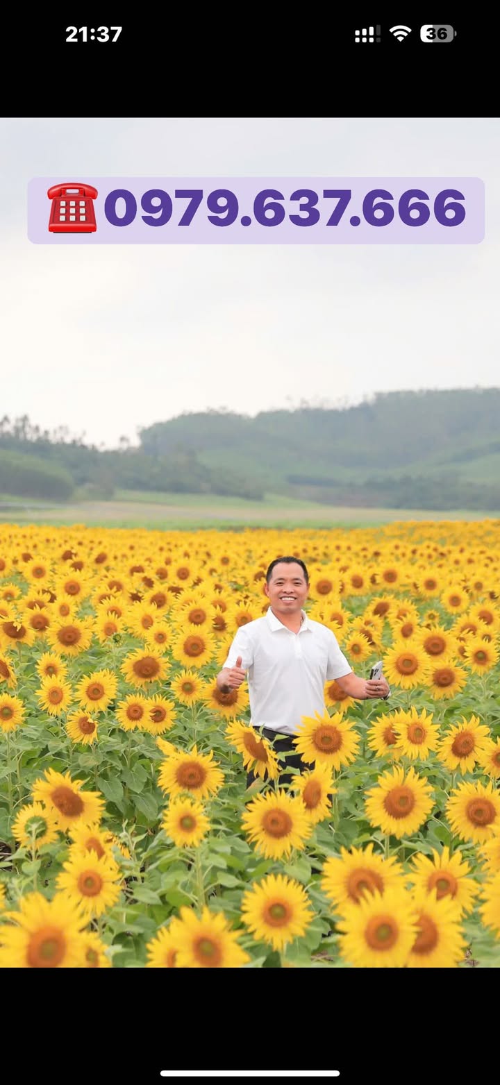 Đất kinh doanh Nghĩa Lâm 306.9m² giá 1 tỷ - Nở hậu đẹp, bám đường nhựa