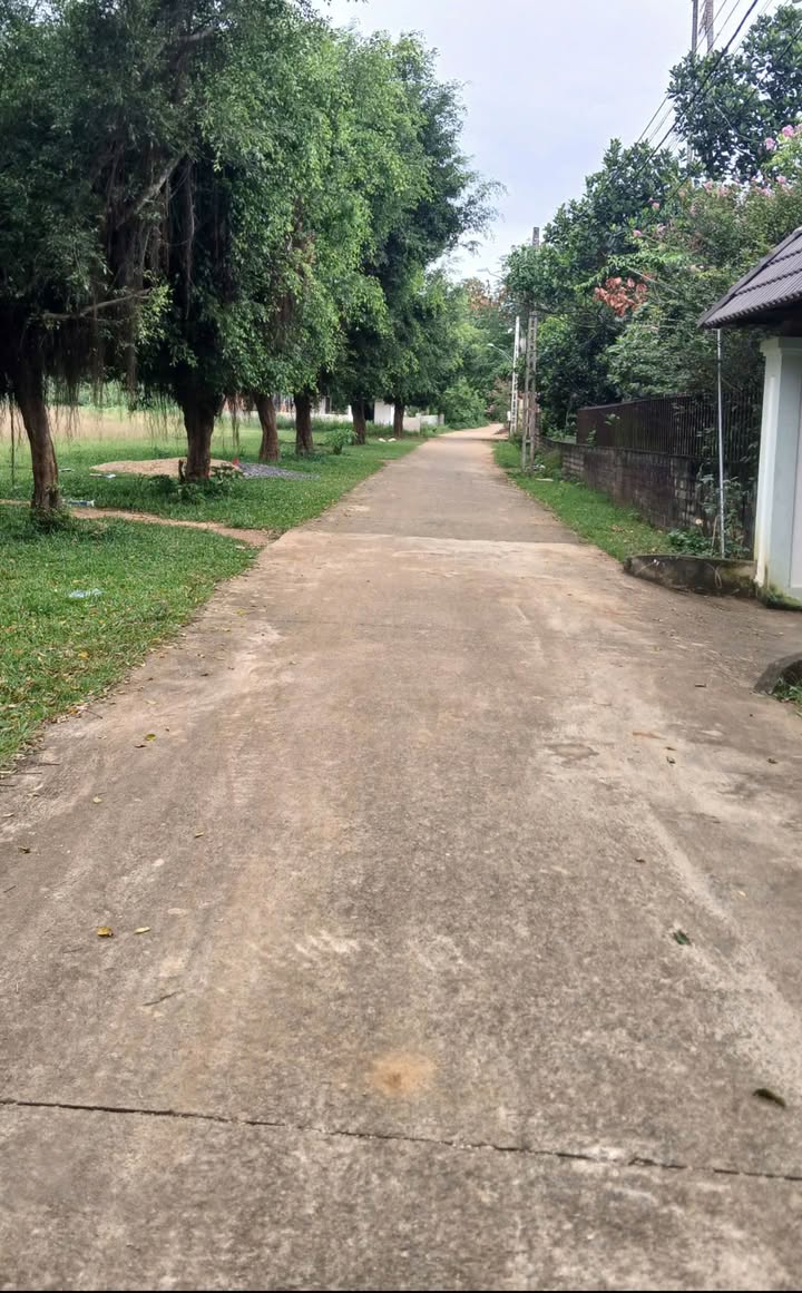 Đất Quang Tiến Thái Hòa 360m² - Full thổ cư, vị trí đắc địa!