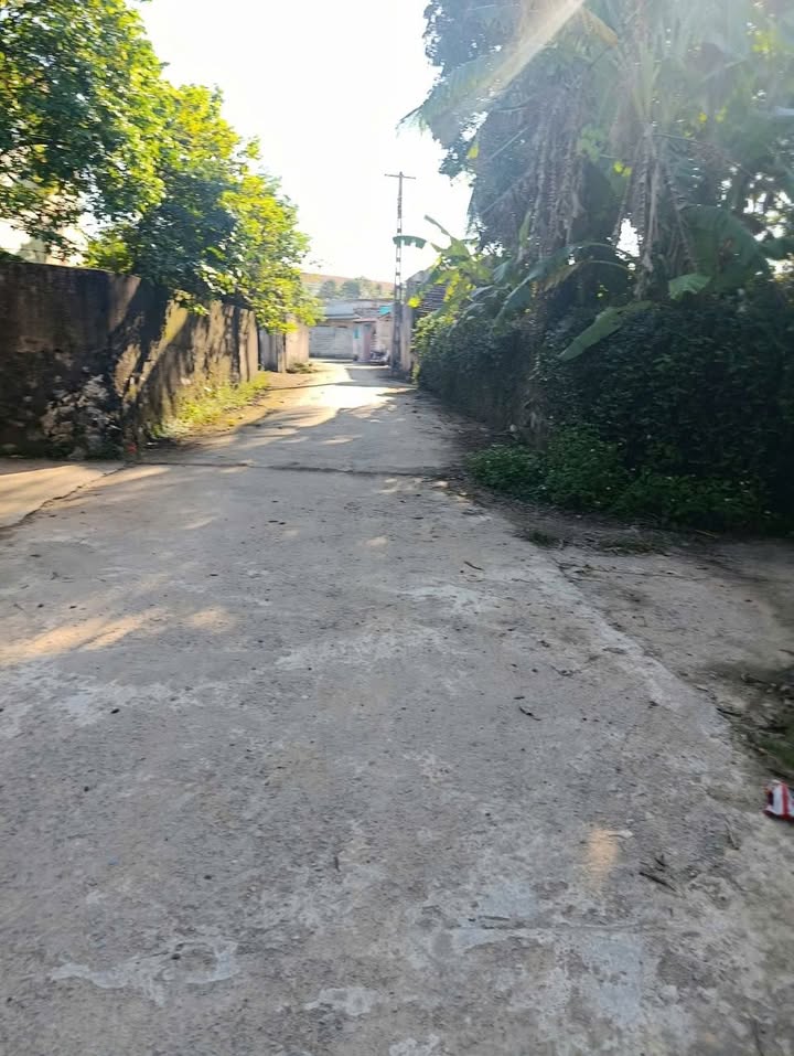 Đất nền Yên Lạc, Yên Định 144m² giá 400 triệu - Bán gấp trong tuần!