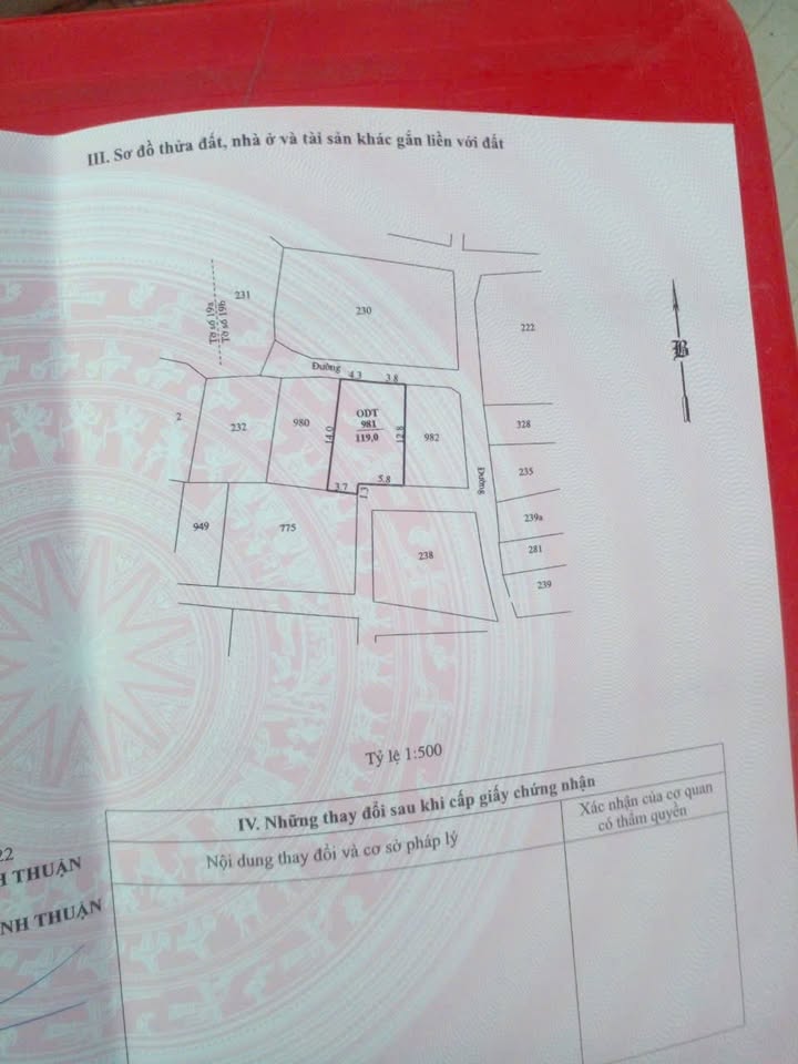 Đất thổ cư 119m² tại Phước Dân, Ninh Thuận - Giá chỉ 600 triệu!