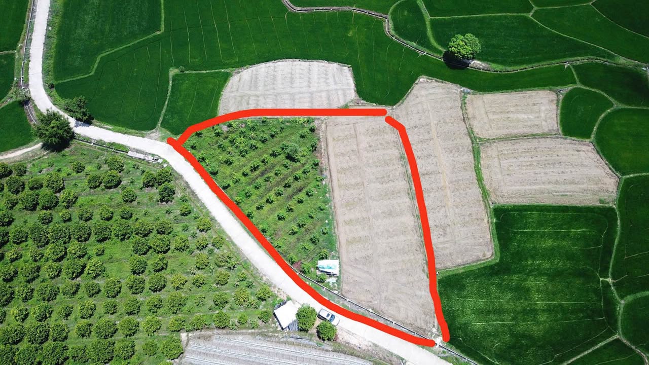 Đất nền Suối Tiên Diên Khánh 1868m² giá 1.699 tỷ - Cơ hội đầu tư hấp dẫn!