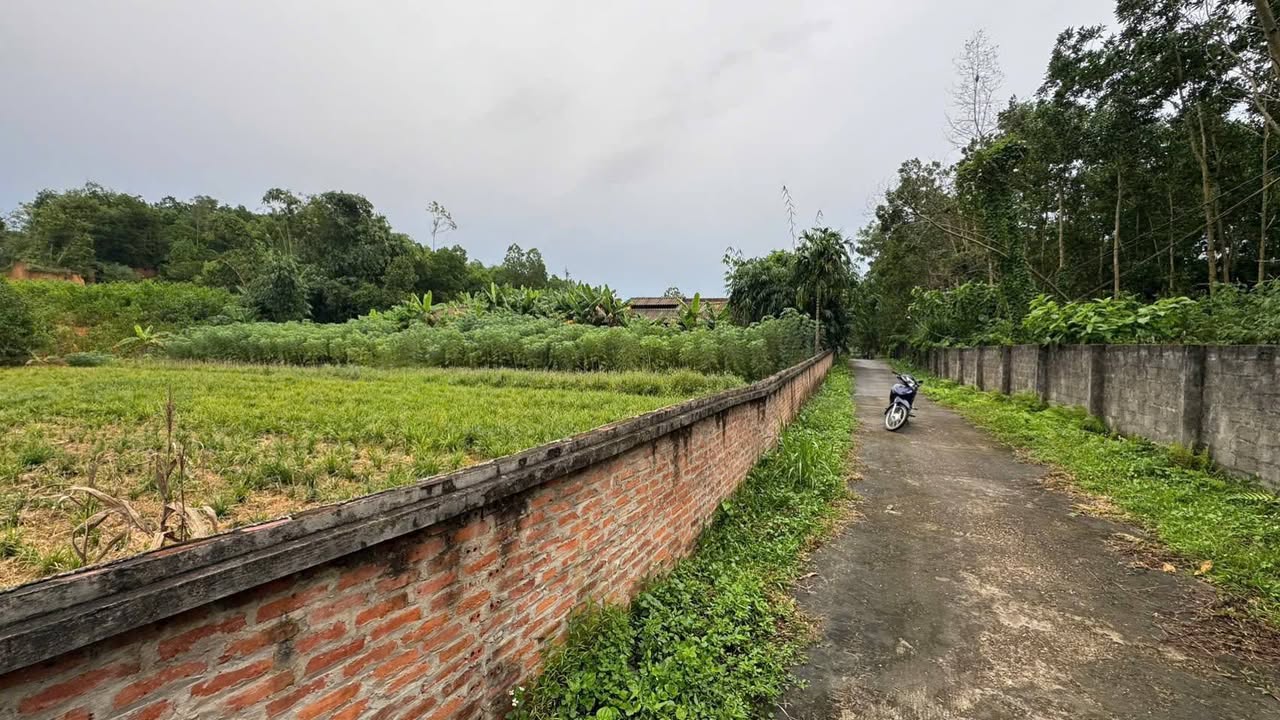 Đất thổ cư 170m² tại khu phố 7, Hiền Lương, Phú Thọ - Giá chỉ 400 triệu!