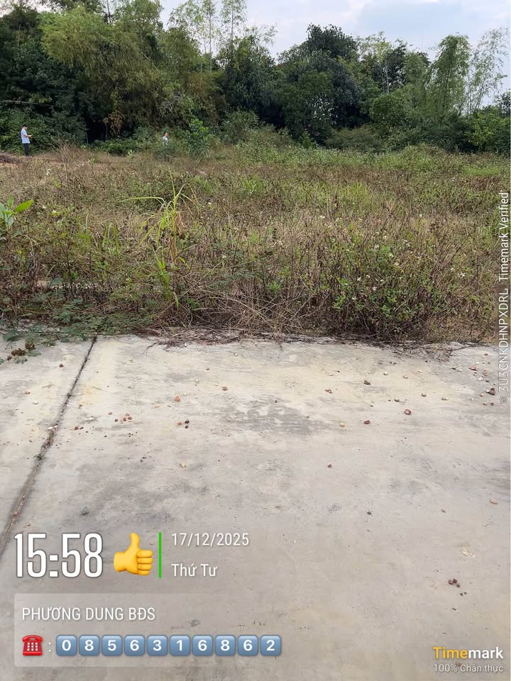 Đất thổ cư Đồng Xài, Phù Lãng, Quế Võ, Bắc Ninh 118m² giá 900 triệu - Đầu tư sinh lời ngay!