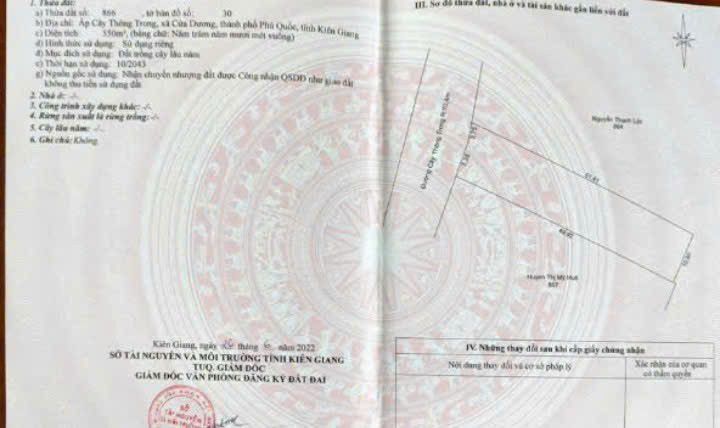 Đất nền Phú Quốc 550m² giá 2.1 tỷ - Mặt tiền đường Cây Thông