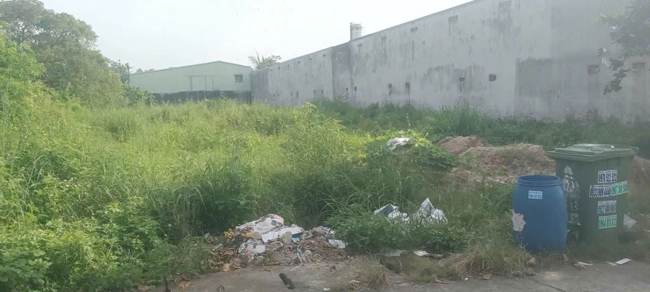 Đất nền Tân Thông Hội, Củ Chi 1.350m² - Khu dân cư hiện hữu, cơ hội đầu tư tuyệt vời!