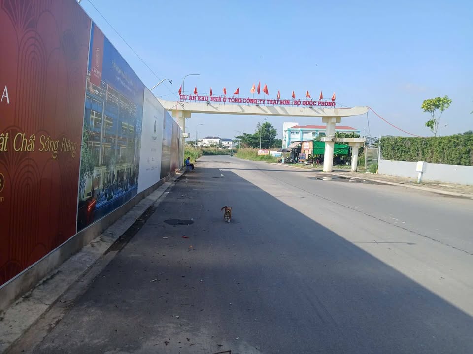 Bán đất Khu dân cư Thái Sơn, Phước Kiển 250m² giá 29.5 tỷ - Cơ hội đầu tư hấp dẫn!
