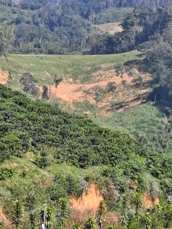 Đất nền Tân Thanh Lâm Hà 16.000m² giá 1.2 tỷ - Đường nước thuận tiện!