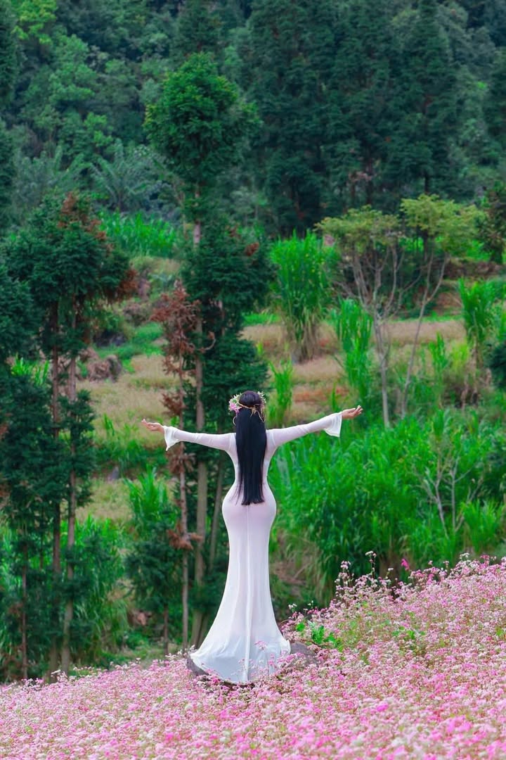 FrontHouse Đà Lạt 1043m² giá 69.9 tỷ - Cơ hội đầu tư sinh lời cao!