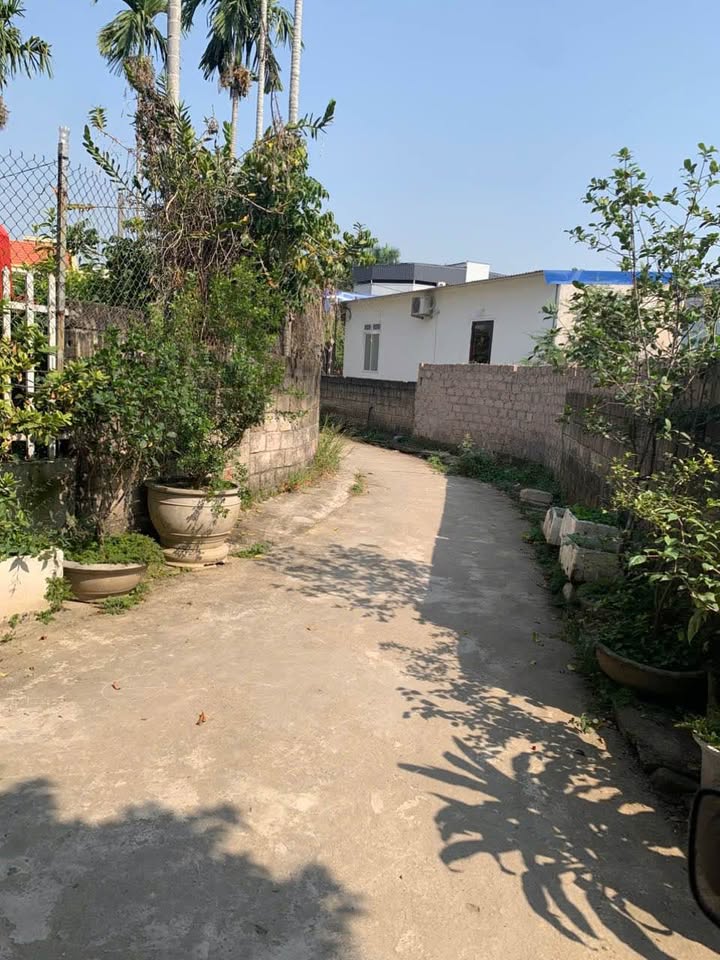 Đất nền 90m² tại Cổng Đất - Xã Hoa Động chỉ 2.5 tỷ - Đầu tư sinh lời ngay!