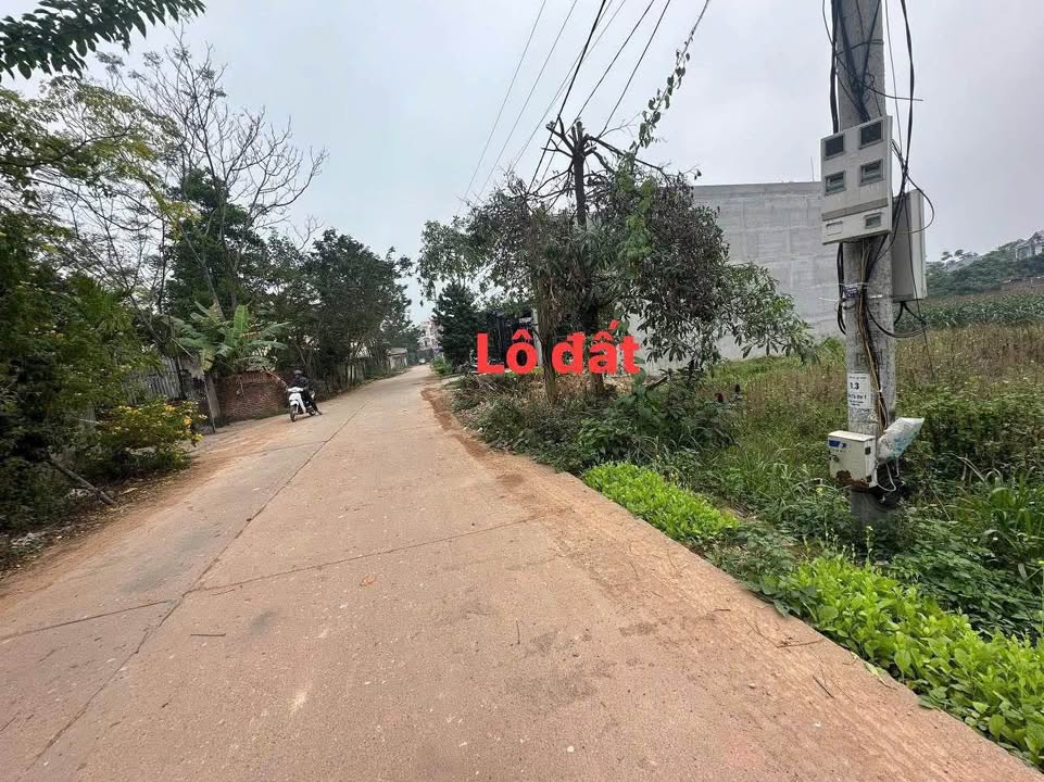 Đất nền kinh doanh Tử Du, Lập Thạch 100m² giá 1.3 tỷ - Cơ hội đầu tư tuyệt vời!