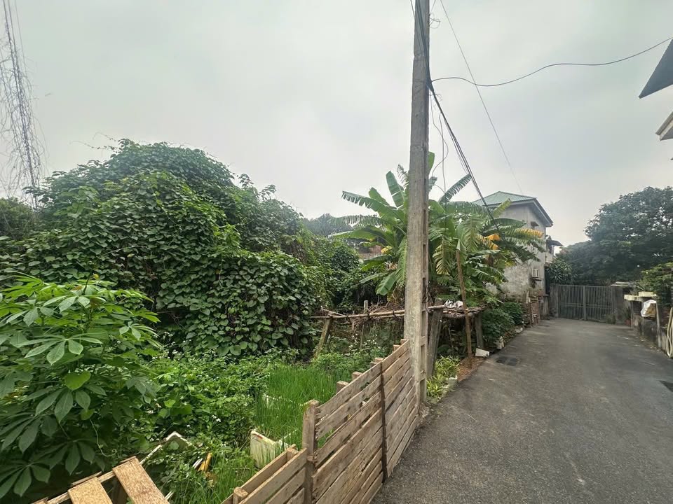 Đất nền Định Trung 186m² giá 1.7 tỷ - Cơ hội đầu tư tuyệt vời!