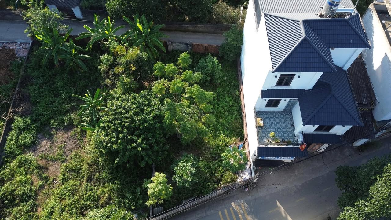 Đất Cổ Đông 190m² giá chỉ 2x triệu - Đầu tư sinh lời ngay tại trung tâm!