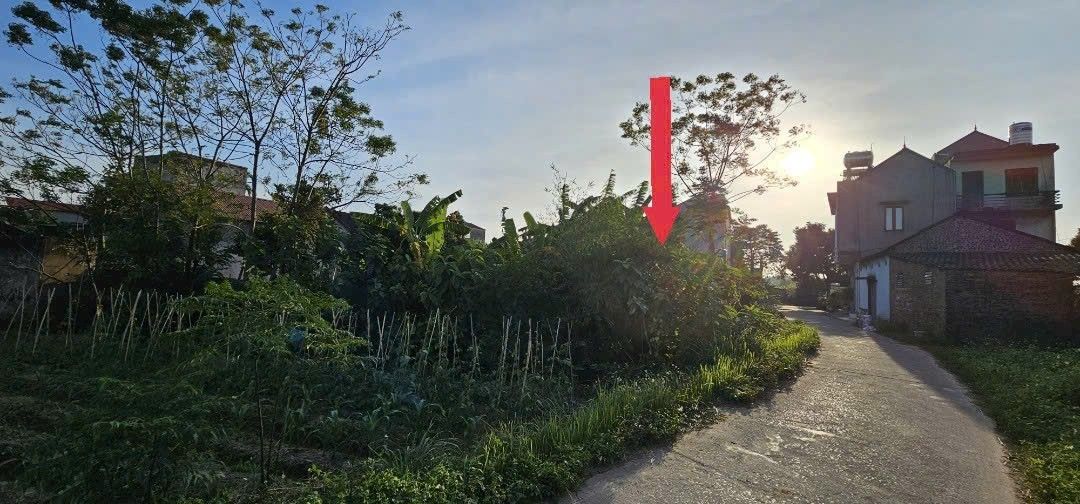 Đất thổ cư 93m² tại tổ dân phố Bình Minh, Đa Mai, giá chỉ 1.6 tỷ - Cơ hội đầu tư tuyệt vời!