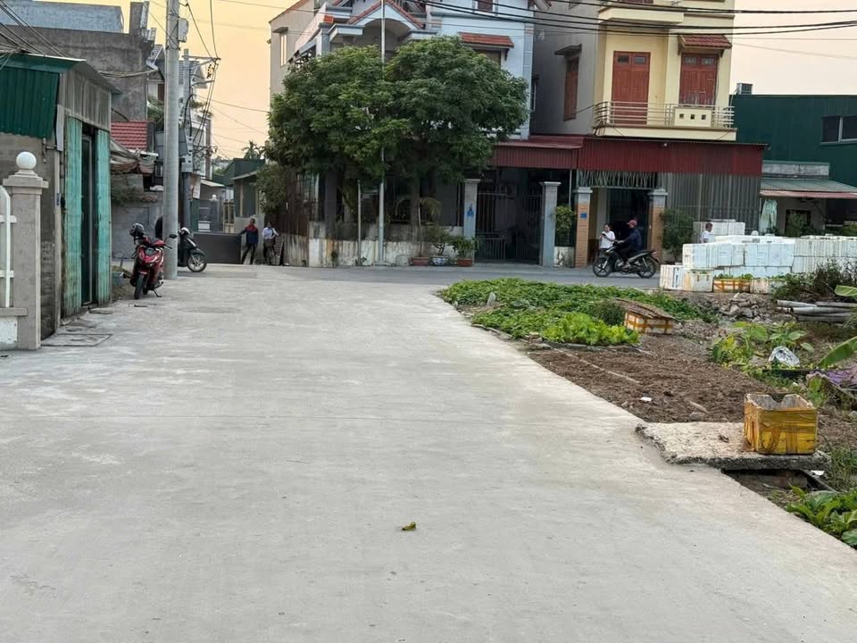 Đất nền Tứ Minh, Hải Dương 65m² giá 2 tỷ - Vị trí đắc địa gần đường Võ Nguyên Giáp