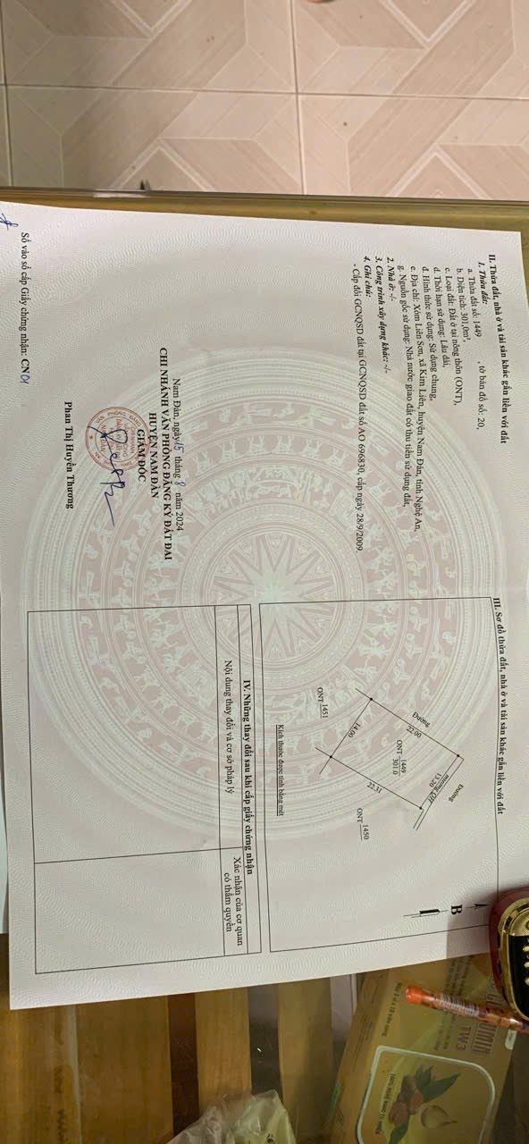 Đất nền Kim Liên, Nam Đàn 301m² giá thỏa thuận - Cơ hội sở hữu khu đất đẹp!