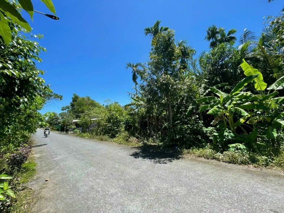 Đất mặt tiền Trà Lồng, Long Mỹ 608m² giá 2 tỷ - Cơ hội đầu tư tốt!