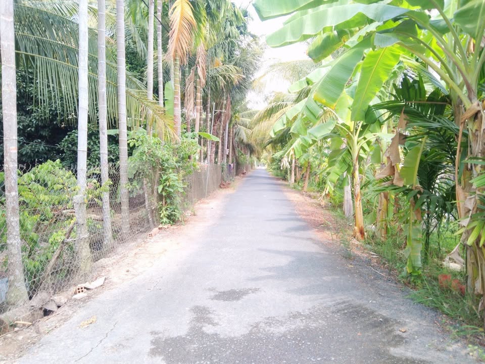 Đất nền 175m² tại Ô Môn, Cần Thơ chỉ 750 triệu - Sổ hồng chính chủ!