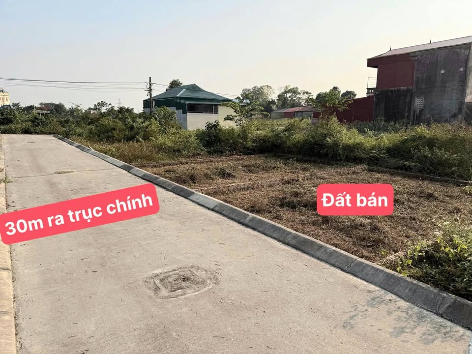 Đất nền Phù Linh, Sóc Sơn 50m² giá 1.5 tỷ - Đầu tư sinh lời ngay!