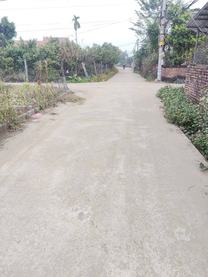 Đất thổ cư 68m² tại Đức Nhuận, Khoái Châu, Hưng Yên - Giá chỉ 2.1 tỷ, cơ hội hiếm có!