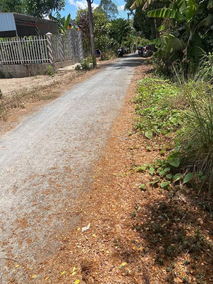 Đất nền Vĩnh Trạch, Thoại Sơn 21390m² giá 1.6 tỷ - Phù hợp làm vườn, ao nuôi cá!