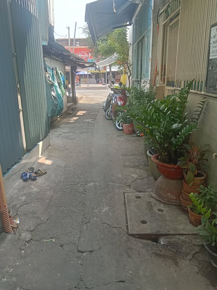 Nhà phố hẻm xe hơi Ba Đình, Quận 8, 52m² giá chỉ 5 tỷ - Sổ hồng riêng, chính chủ!