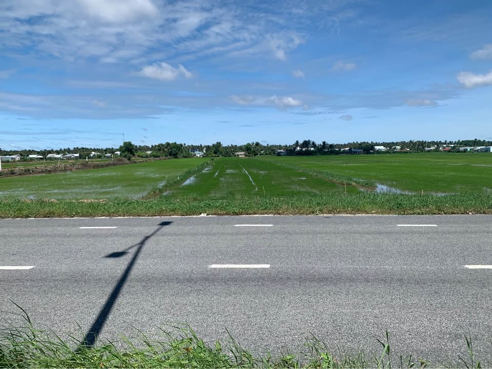 Đất mặt tiền đường 3/2 Châu Thành 3,5 công giá 7,15 tỷ - Cơ hội đầu tư hấp dẫn!